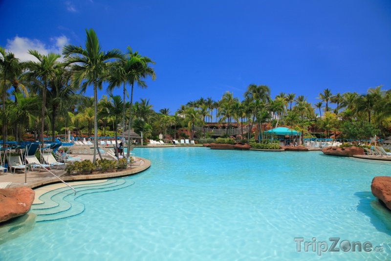 Fotka, Foto Hotelový bazén (Nassau, Bahamy)