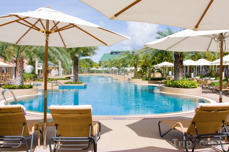 Fotka, Foto Hotelový bazén (Pattaya, Thajsko)