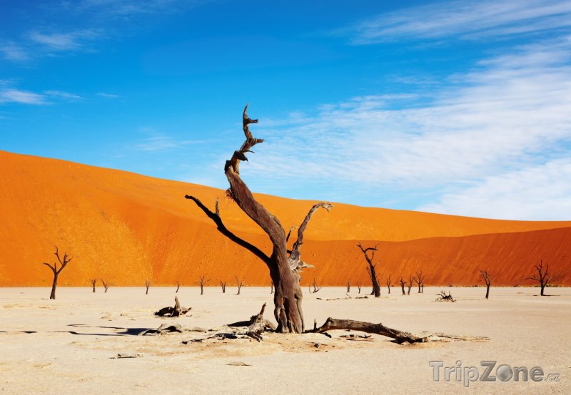 Fotka, Foto Jílová pánev Sossusvlei (Namibie)