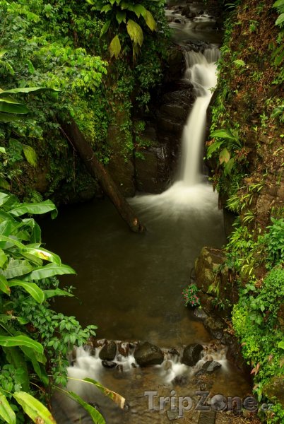 Fotka, Foto Malý vodopád v deštném pralese (Martinik)