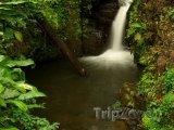 Malý vodopád v deštném pralese