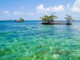 Mangrovy u Bocas del Toro