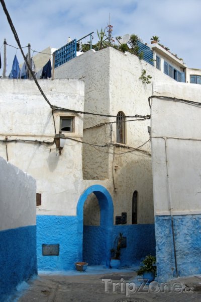 Fotka, Foto Modro bílé domy v pevnosti Udayas (Rabat, Maroko)