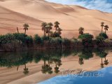 Oáza v saharské poušti