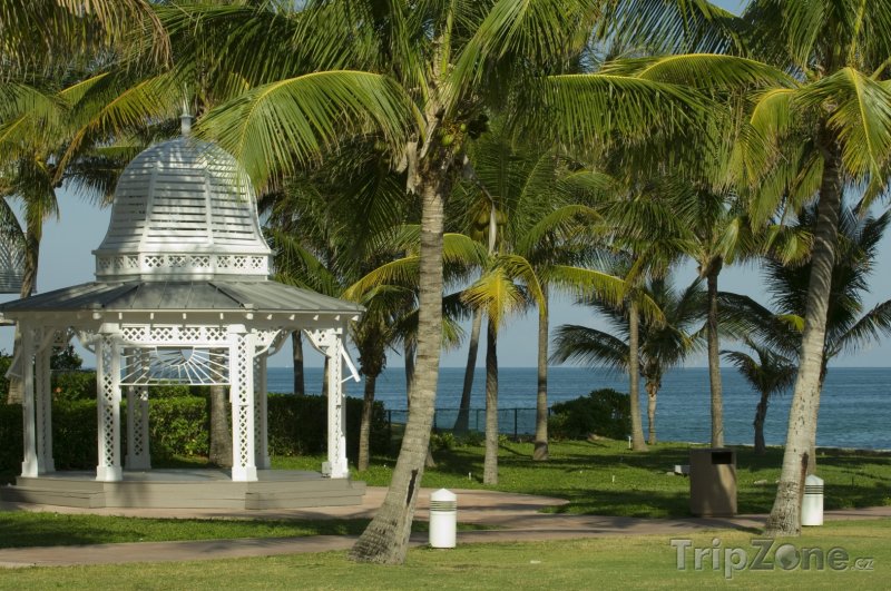 Fotka, Foto Oblíbené místo svatebních obřadů (Nassau, Bahamy)