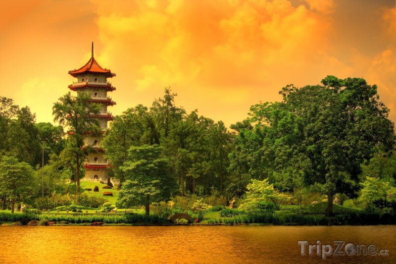 Fotka, Foto Pagoda v Čínských zahradách (Singapur)