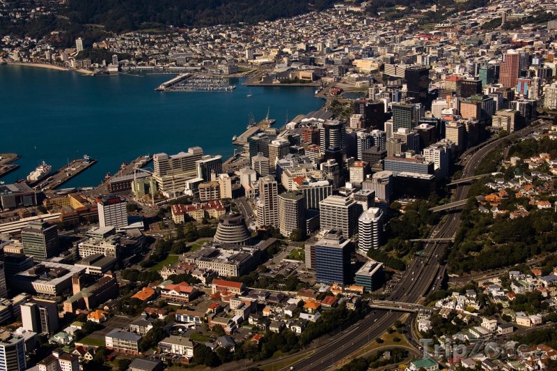 Fotka, Foto Panoráma města (Wellington, Nový Zéland)