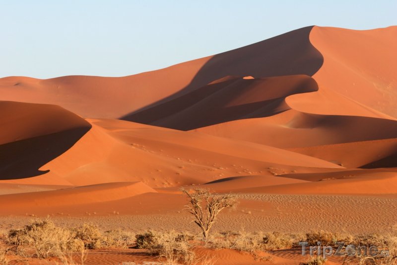 Fotka, Foto Písečné duny v namibské úpoušti (Namibie)