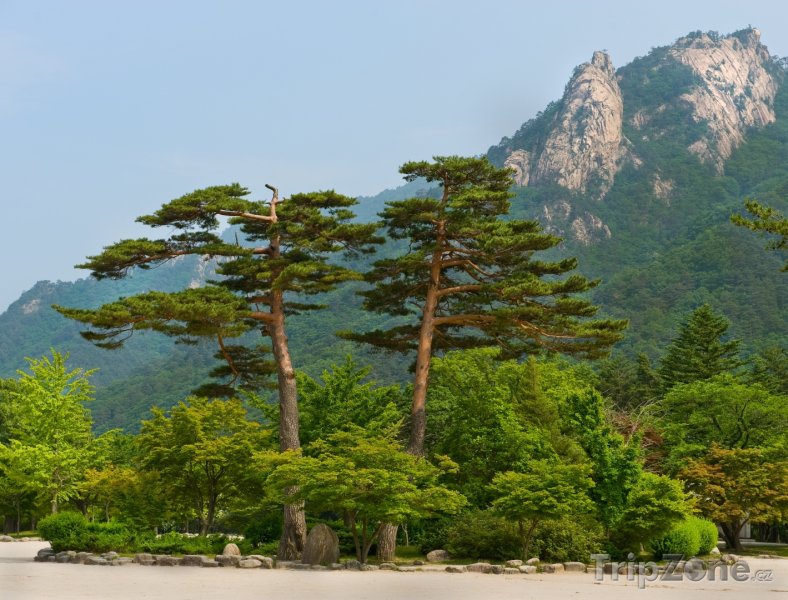 Fotka, Foto Pohled do parku Seoraksan (Jižní Korea)