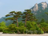 Pohled do parku Seoraksan