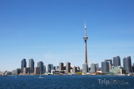 Pohled na CN Tower z přístavu