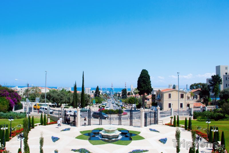 Fotka, Foto Pohled na město ze zahrad Bahá'í (Haifa, Izrael)