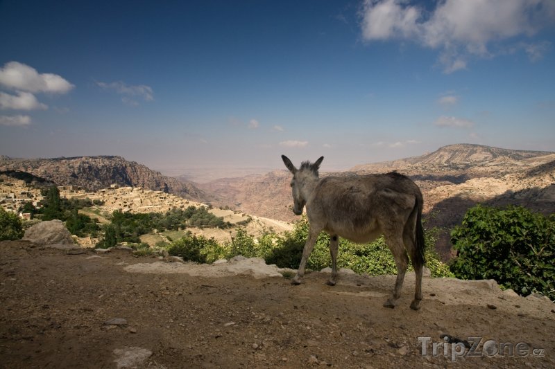 Fotka, Foto Pohled na vesničku Wadi Dana (Jordánsko)