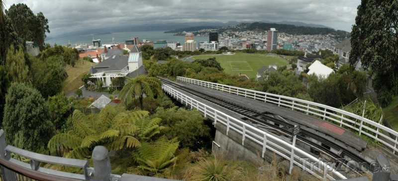 Fotka, Foto Pohled z horní stanice lanovky (Wellington, Nový Zéland)