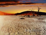 Poušť Namib při západu slunce