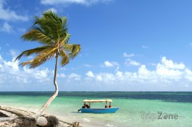 Punta Cana, palma a loďka