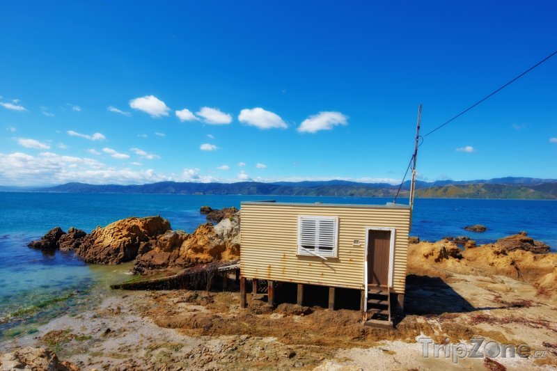 Fotka, Foto Rybářský domek v Karaka Bay (Wellington, Nový Zéland)