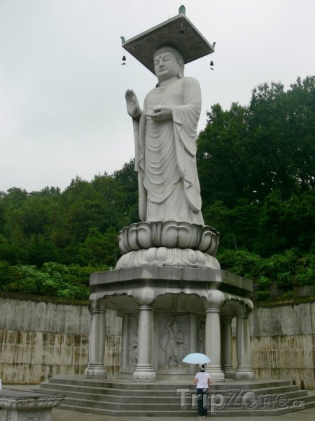 Fotka, Foto Socha Buddhy u chrámu Bongeunsa (Soul, Jižní Korea)