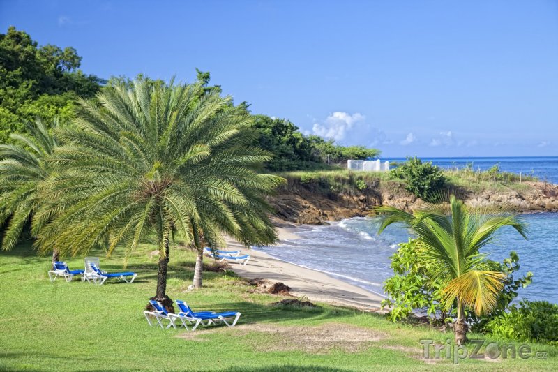 Fotka, Foto Soukromá pláž na ostrově Antigua (Antigua a Barbuda)