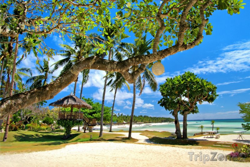 Fotka, Foto Tropický resort (Filipíny)