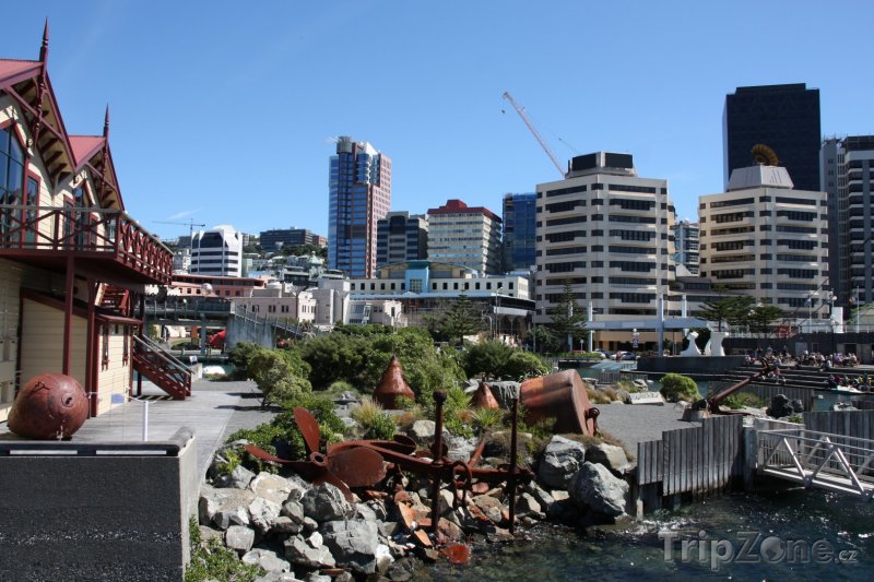 Fotka, Foto Veřejná laguna v centru města (Wellington, Nový Zéland)