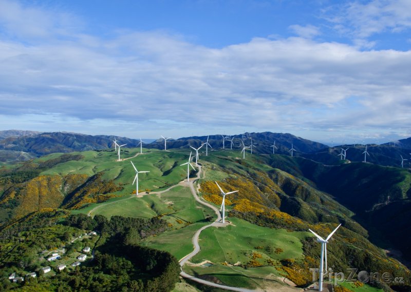 Fotka, Foto Větrné mlýny (Wellington, Nový Zéland)
