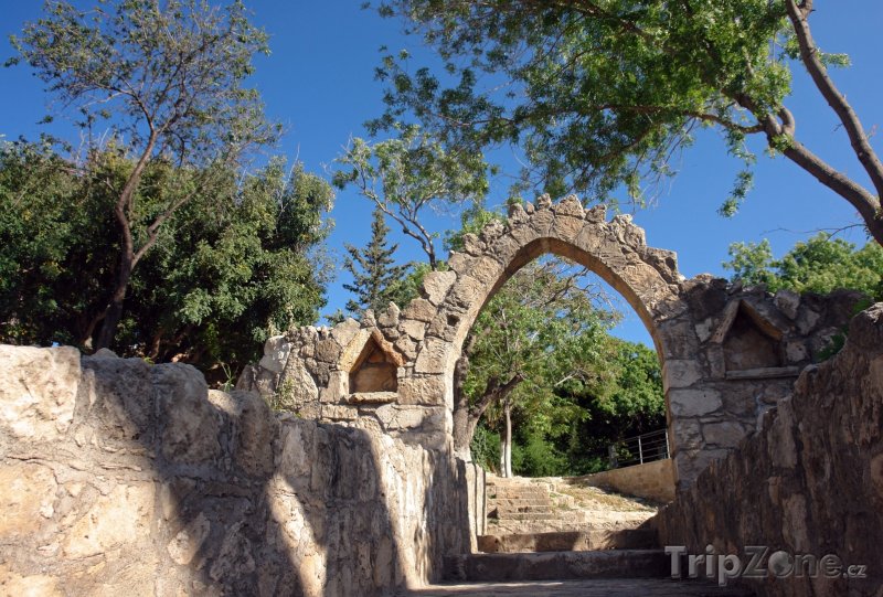 Fotka, Foto Zahrada (Pafos, Kypr)