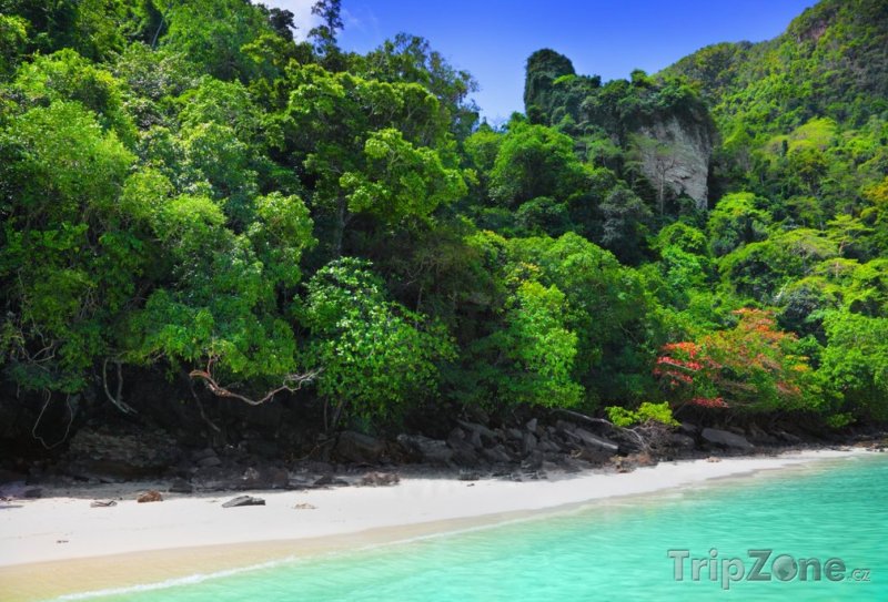 Fotka, Foto Exotická pláž (Phuket, Thajsko)