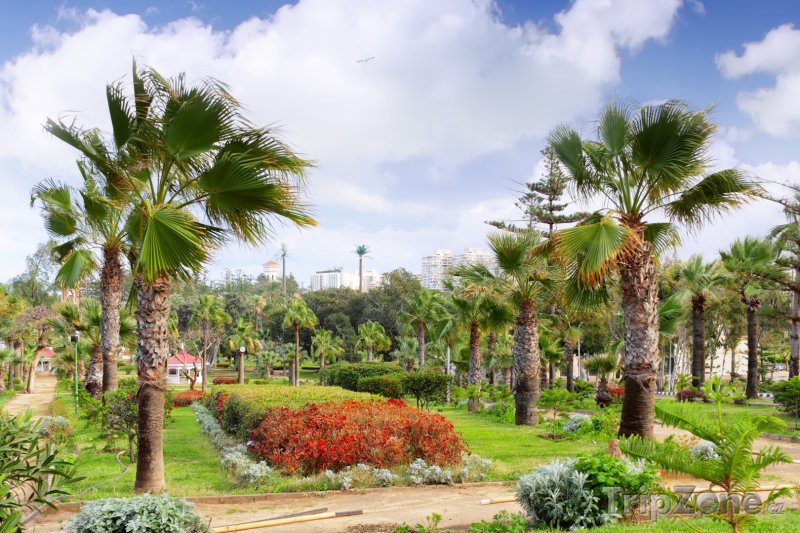 Fotka, Foto Královský park (Alexandrie, Egypt)