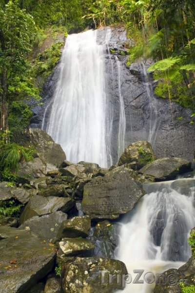 Fotka, Foto La Coca Falls (Portoriko)