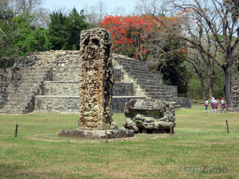 Fotka, Foto Mayské ruiny ve městě Copán (Honduras)