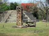 Mayské ruiny ve městě Copán