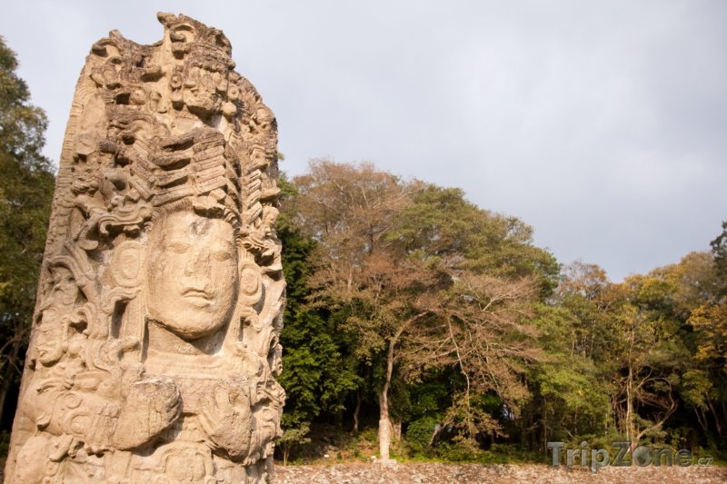 Fotka, Foto Mayský monument stelae (Honduras)