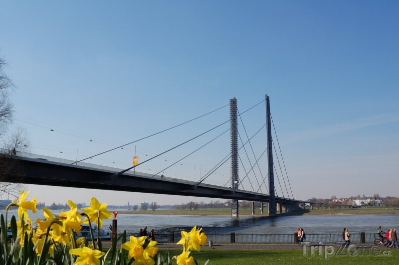 Fotka, Foto Most přes Rýn (Düsseldorf, Německo)