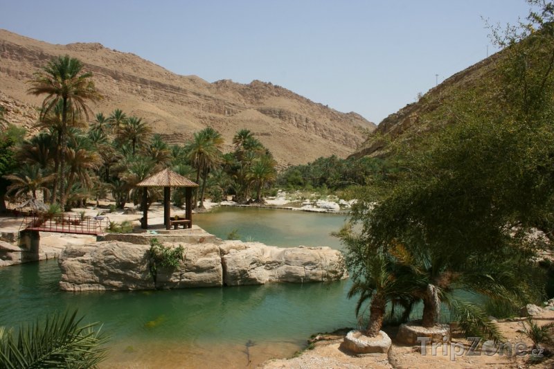 Fotka, Foto Oáza v údolí Wadi Bani Khalid (Omán)