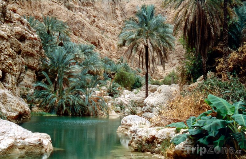 Fotka, Foto Oáza v údolí Wadi Shab (Omán)