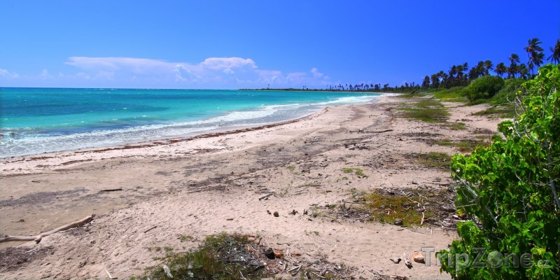 Fotka, Foto Pláž u města Guánica (Portoriko)
