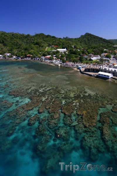 Fotka, Foto Pobřeží ostrova Roatán (Honduras)