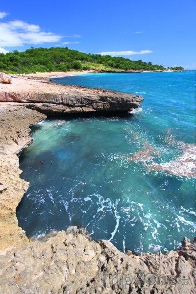 Fotka, Foto Pobřeží rezervace Guánica (Portoriko)