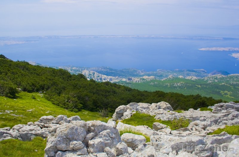 Fotka, Foto Pohled z hory na město Rab (Rab, Chorvatsko)