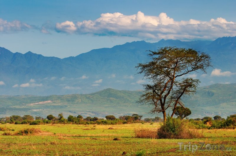 Fotka, Foto Pohoří Ruwenzori (Uganda)