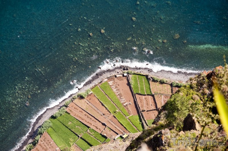 Fotka, Foto Pole na břehu moře (Funchal, Portugalsko)