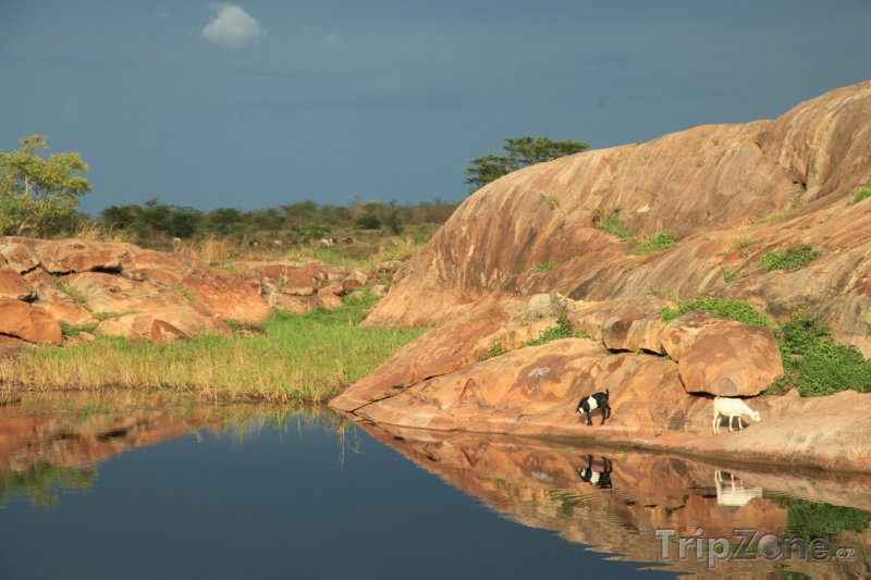 Fotka, Foto Řeka Abuket (Uganda)