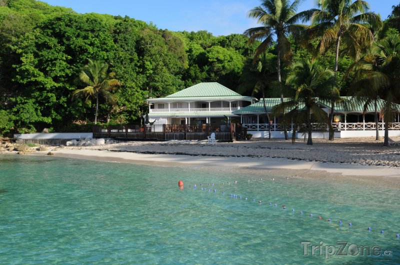 Fotka, Foto Restaurace na pláži v Sainte-Anne (Guadeloupe)