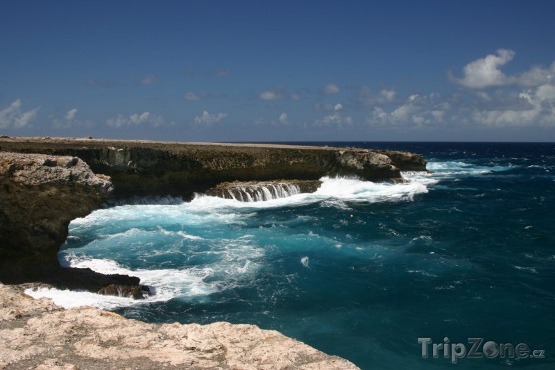 Fotka, Foto Útesy na pobřeží (Bonaire)