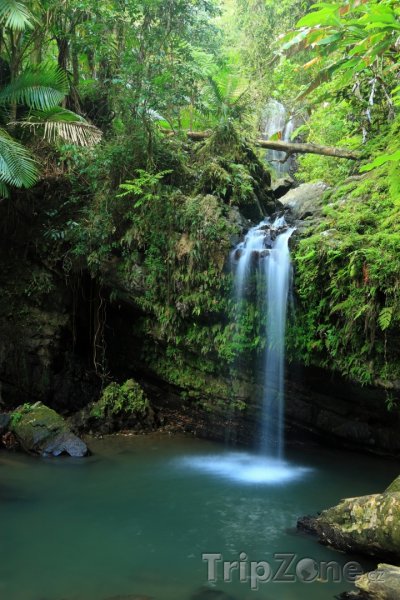 Fotka, Foto Vodopád Juan Diego v pralese El Yunque (Portoriko)