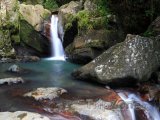 Vodopád La Mina v pralese El Yunque
