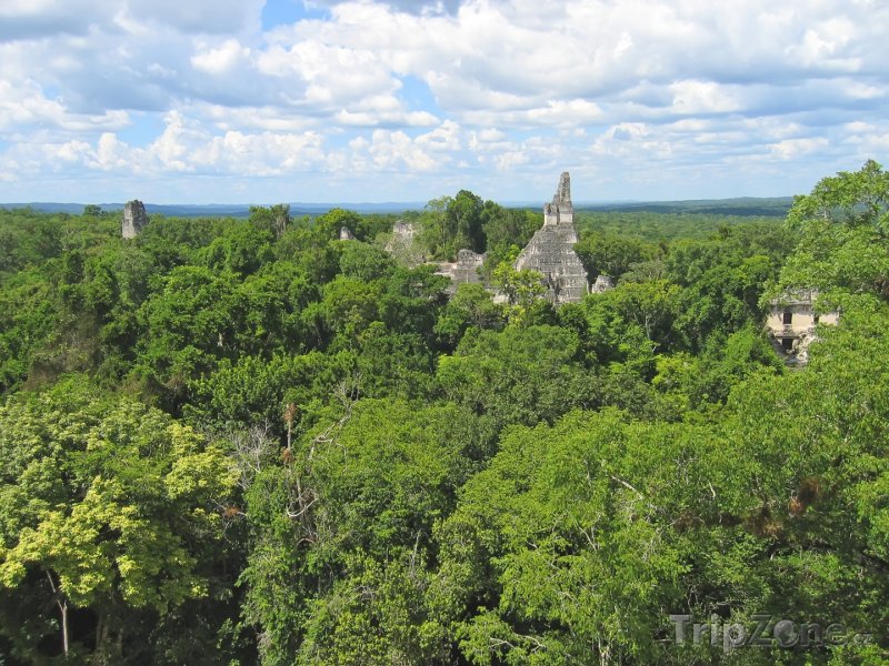 Fotka, Foto Chrám Tikal v džungli Peten (Guatemala)