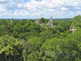 Chrám Tikal v džungli Peten