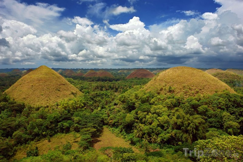 Fotka, Foto Čokoládové kopce (Filipíny)